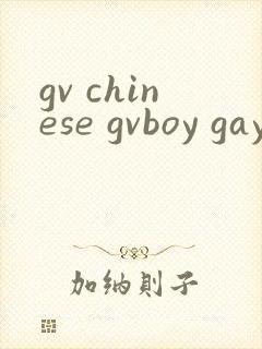 gv chinese gvboy gay tube封面
