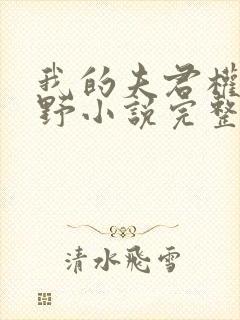 我的夫君权倾朝野小说完整版免费阅读全文封面