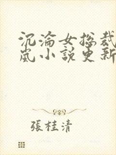 沉沦女总裁赵星岚小说更新时间