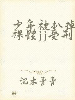 少年被扒掉裤子裸体jj受刑的小说