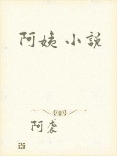 阿姨 小说