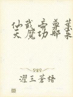 仙武帝尊叶辰吞天魔功哪来的封面