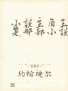小说主角王斌 是哪部小说