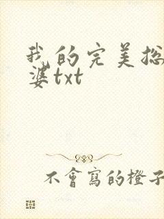 我的完美总裁老婆txt