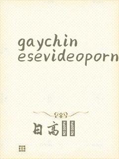 gaychinesevideoporn