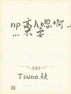np高h嗯啊……不要封面
