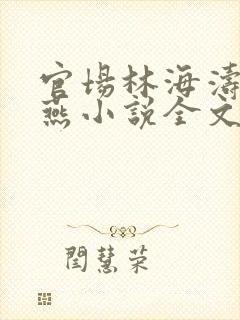 官场林海涛蒋春燕小说全文阅读封面
