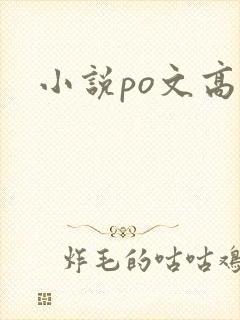 小说po文高h封面