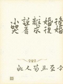 小说离婚后前夫哭着求复婚全篇