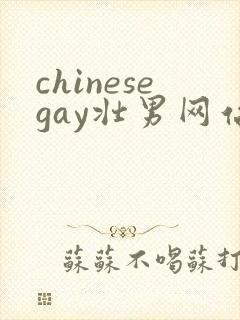 chinesegay壮男网站gvman封面