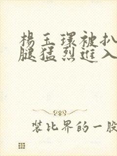 杨玉环被扒开双腿猛烈进入封面