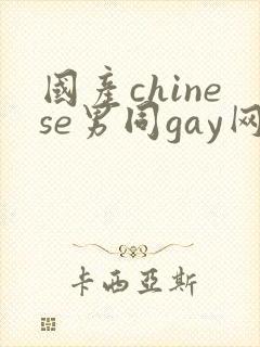 国产chinese男同gay网站封面