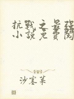 抗战之最强兵王小说免费阅读