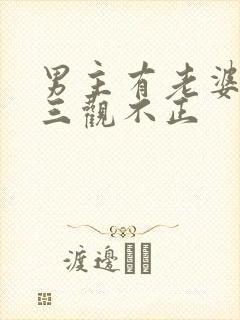 男主有老婆出轨三观不正