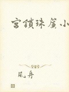 宫锁珠帘小说