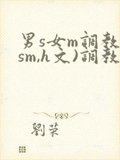 男s女m调教(sm,h文)调教小乳