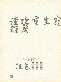 渣攻重生宠受文推荐封面
