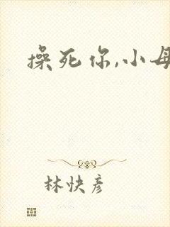 操死你,小母狗