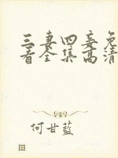 三妻四妾免费观看全集高清完整版封面