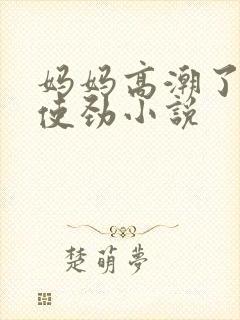 妈妈高潮了嗯啊使劲小说封面
