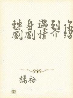 转身遇到你电视剧剧情介绍