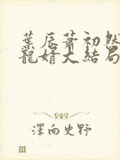 叶辰萧初然上门龙婿大结局