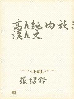 高h纯肉放荡糙汉h文
