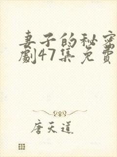 妻子的秘密电视剧47集免费