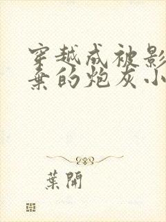 穿越成被影帝抛弃的炮灰小说免费封面