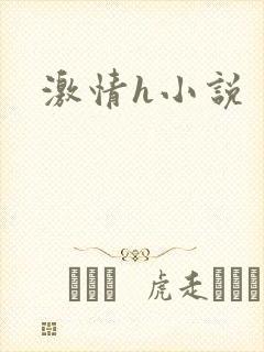 激情h小说