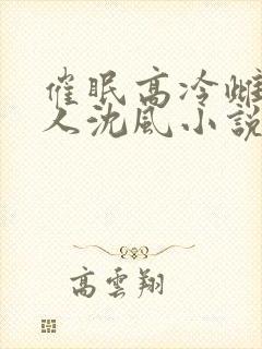 催眠高冷雌坠美人沈风小说最新章节