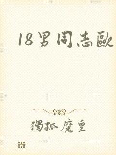 18男同志欧美封面