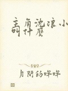 主角沈浪小说名叫什么