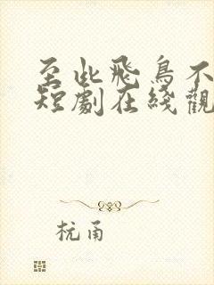 至此飞鸟不相逢短剧在线观看全集封面