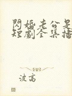 闪婚老公是总裁短剧全集播放