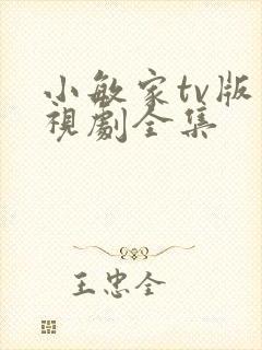 小敏家tv版电视剧全集封面