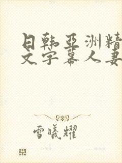 日韩亚洲精品中文字幕人妻精品