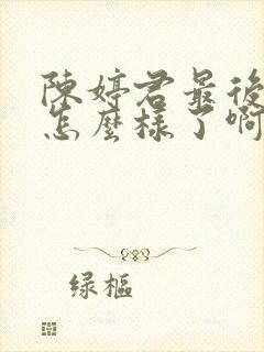 陈婷君最后结局怎么样了啊