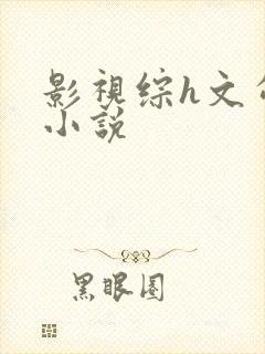 影视综h文勾引小说封面