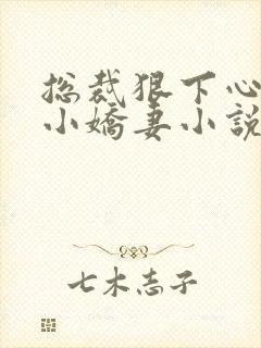 总裁狠下心来打小娇妻小说