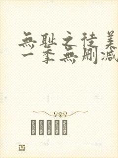 无耻之徒美版第一季无删减封面