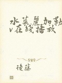 水菜丽加勒比av在线播放