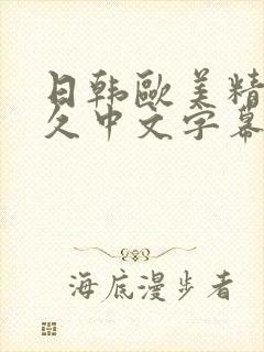 日韩欧美精品久久中文字幕封面