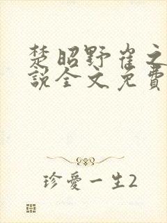 楚昭野崔之裳小说全文免费阅读