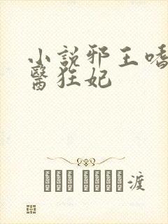小说邪王嗜宠鬼医狂妃封面