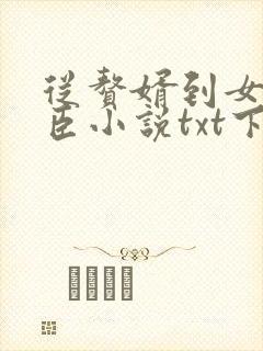 从赘婿到女帝宠臣小说txt下载