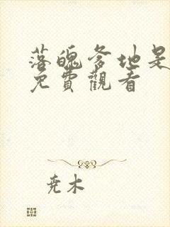 落魄爹地是厨神免费观看