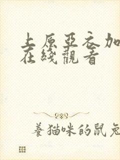 上原亚衣加勒比在线观看