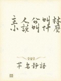 主人公叫林峰的小说叫什么名字