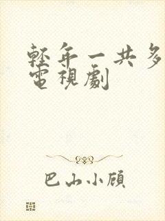 轻年一共多少集电视剧